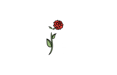 Rose vintage & second hand 